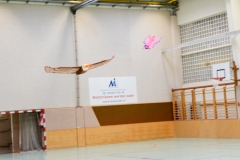 HFT2019-36