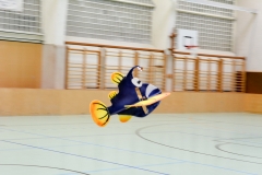 HFT2019-41