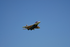 DSC_0223