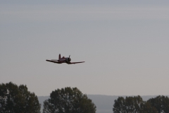 2010-warbird-wolfgang-0118