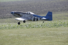 2010-warbird-wolfgang-0265