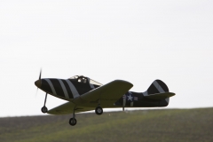 2010-warbird-wolfgang-0424