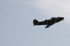 2010-warbird-wolfgang-0429