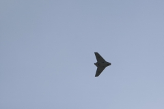 2010-warbird-wolfgang-0665