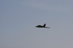 2010-warbird-wolfgang-0691-1