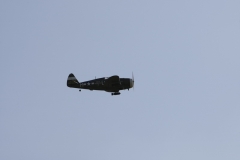 2010-warbird-wolfgang-0842