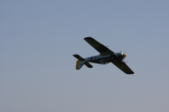 2010-warbird-wolfgang-0883